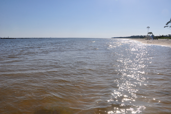 Gulf of Mexico